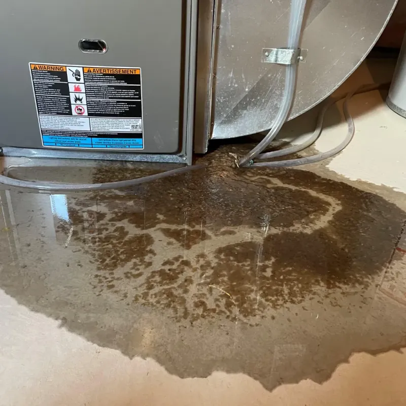 Appliance Leak Cleanup in Nashville, TN