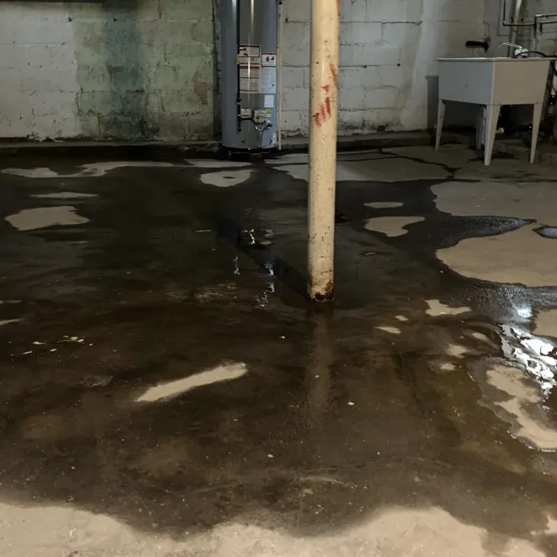 Emergency Water Extraction And Removal in Nashville, TN